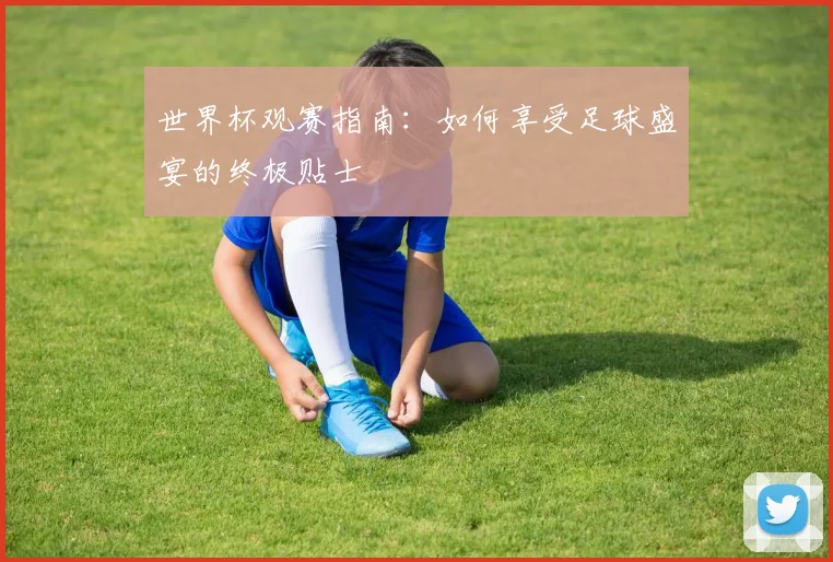 世界杯观赛指南：如何享受足球盛宴的终极贴士